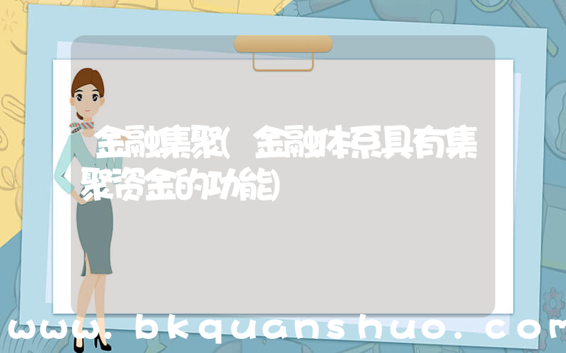 金融集聚(金融体系具有集聚资金的功能)