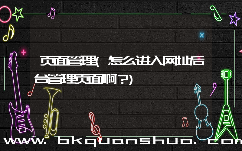 页面管理(怎么进入网址后台管理页面啊？)