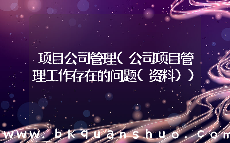 项目公司管理(公司项目管理工作存在的问题(资料))