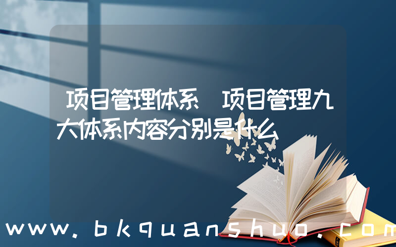 项目管理体系(项目管理九大体系内容分别是什么)