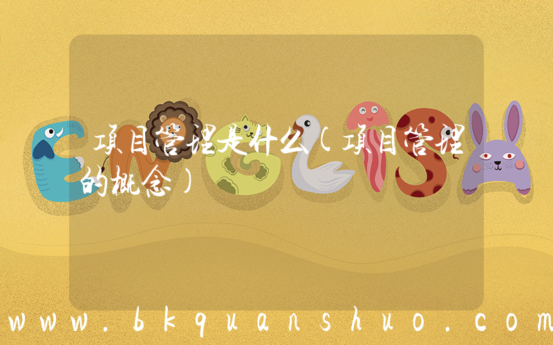 项目管理是什么(项目管理的概念)