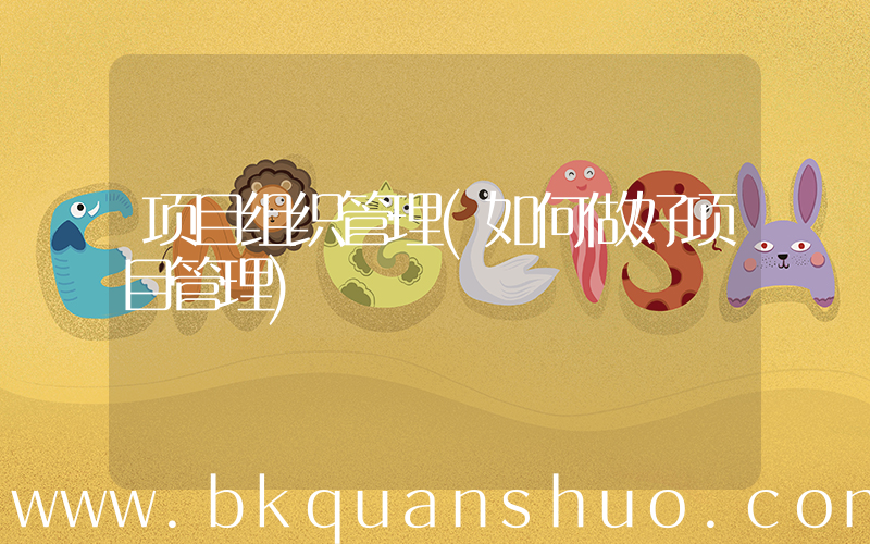 项目组织管理(如何做好项目管理)