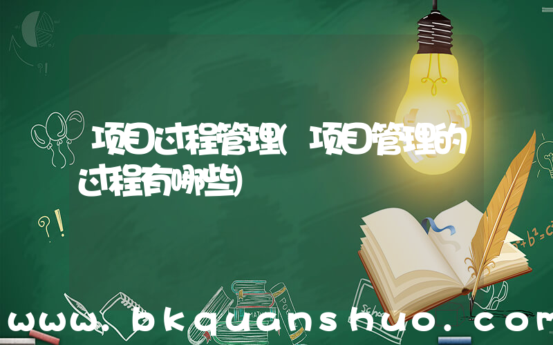 项目过程管理(项目管理的过程有哪些)