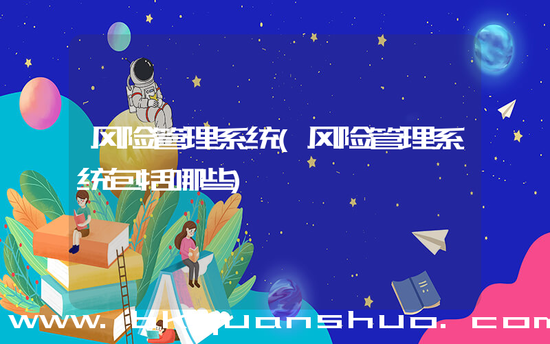 风险管理系统(风险管理系统包括哪些)